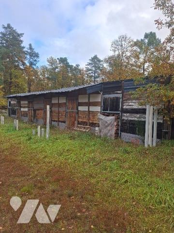 Maison à Vendre à Neuvy-sur-Barangeon (18330) en Cher (18)

Nous vous présentons une maison s...