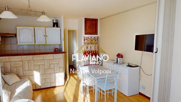Appartement 27,50 m2 Sauze 1700 Le sauze (04400)