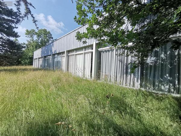 Maison à vendre à Iffendic en Ille-et-Vilaine (35750), ref : 048-V1208M