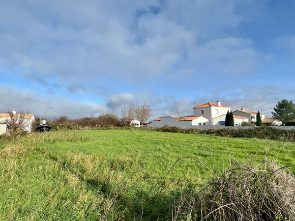 Terrain constructible