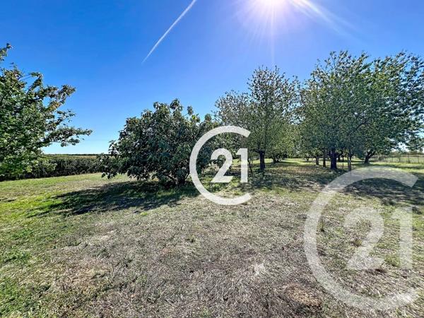 Maison à vendre  10 pièces - 308 m 2   LOUZAC ST ANDRE  - 16