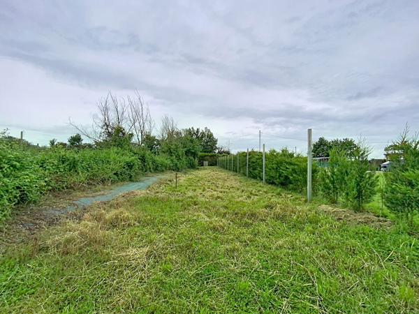 A vendre, maison de plain-pied de 80m2, trois chambres avec un terrain de plus de 1300m2