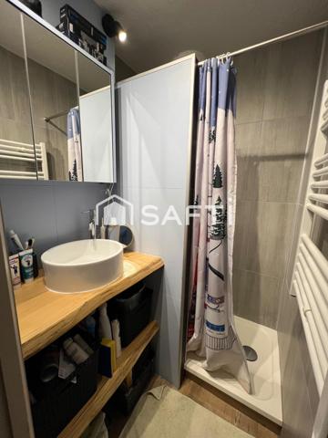 Charmant Appartement T2 De 25 m2 dans station de ski, avec vue sur la montagne et le lac Léman.