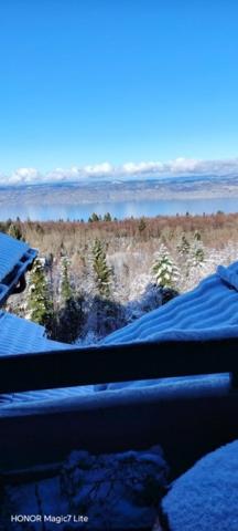 Charmant Appartement T2 De 25 m2 dans station de ski, avec vue sur la montagne et le lac Léman.