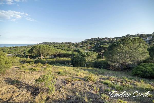 Terrain constructible à Sainte-Maxime