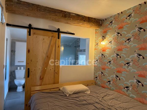 DOUZENS - Ensemble immobilier 267 m² : Loft de caractère + Atelier 83 m² + Projet Terrasse