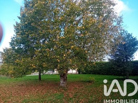 Terrain à vendre 1 600 m² Prunet