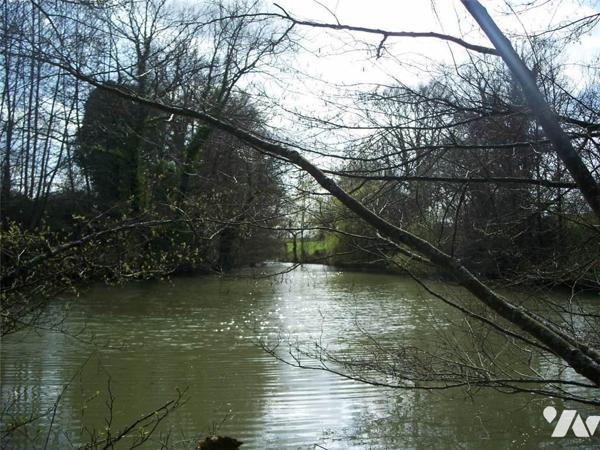 VENTE TERRAIN - NUILLE SUR VICOIN