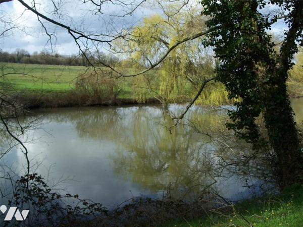 VENTE TERRAIN - NUILLE SUR VICOIN