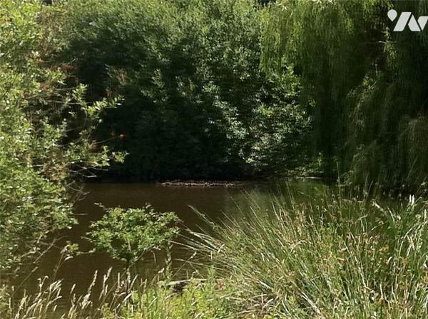 VENTE TERRAIN - NUILLE SUR VICOIN