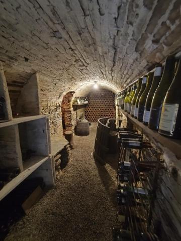 Maison à JALLAIS, 49510 - 7 pièces 206m²