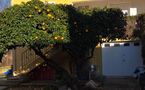 Maison à vendre    5 pièces • 92 m2 Perpignan