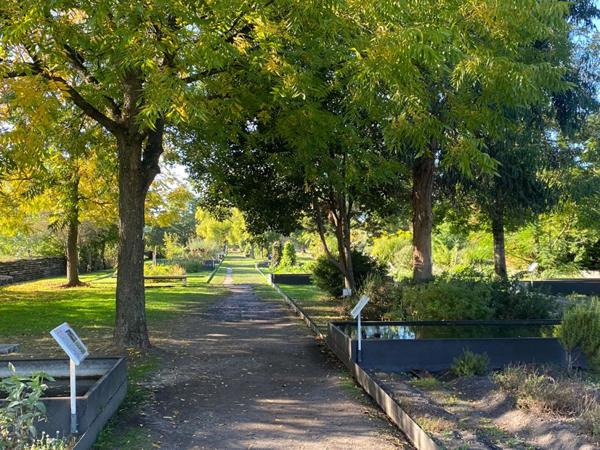 Bel appartement T2 avec grande terrasse emplacement recherché à Bordeaux Bastide