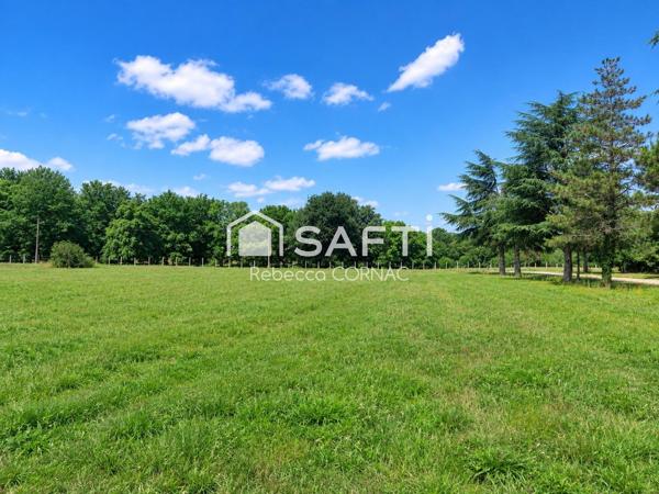 Maison sur 3 000 m² de terrain constructible