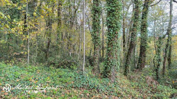 Terrain de 10 039 m² dont 1 000m² environ de constructible