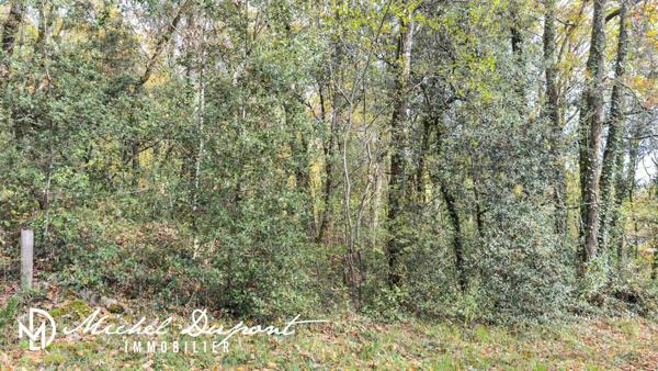 Terrain de 10 039 m² dont 1 000m² environ de constructible