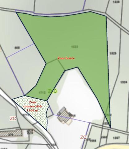 Terrain de 10 039 m² dont 1 000m² environ de constructible