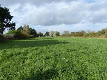 Terrain de loisirs - Bois - Etang à vendre à La Haye dans la Manche (50250), ref : 50061-1028508