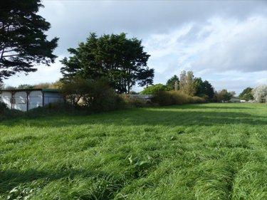 Terrain de loisirs - Bois - Etang à vendre à La Haye dans la Manche (50250), ref : 50061-1028508