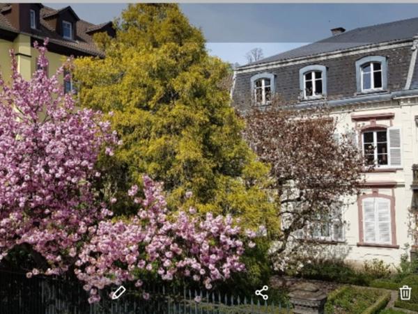 Location Appartement 7 pièces Sainte-Marie-aux-Mines (68160) - cv