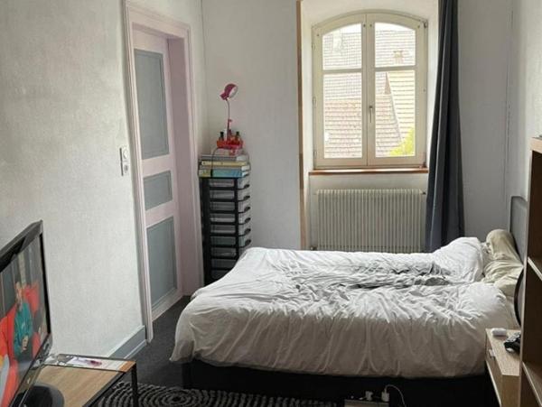 Location Appartement 7 pièces Sainte-Marie-aux-Mines (68160) - cv