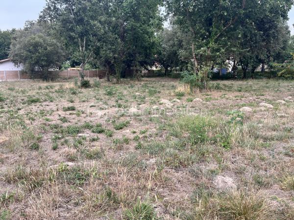 Terrain de 1 440 m²