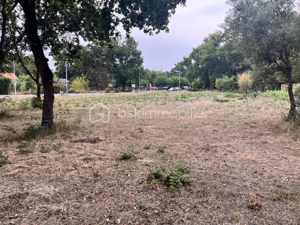 Terrain de 1 440 m²