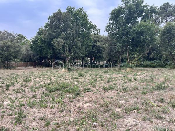 Terrain de 1 440 m²