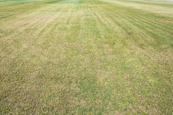 Terrain à vendre proche de LE MAS RILLIER (01)