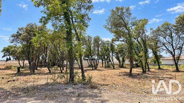 Terrain à vendre 650 m² Bédarrides