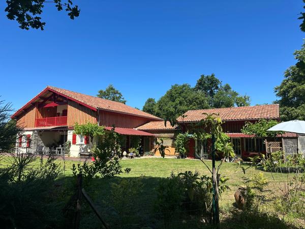 Lisière forêt Landaise.Contemporaine de construction récente avec beaucoup de charme et des prestations de qualité.