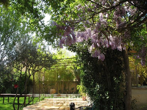 Le Pressoir du temps : Une ode à l’authenticité