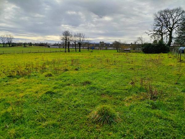 Ensemble immobilier maison et gîtes La Verrie 5 pièces 251 m2