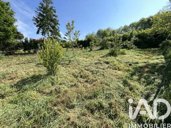 Terrain à vendre 519 m² Montournais