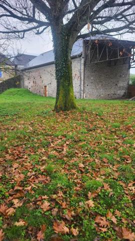 Maison ancienne à restaurer, grange en pierre et beau terrain