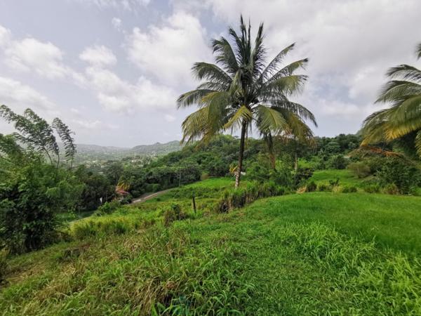 Terrain de  478m² à Roche Carrée Lamentin