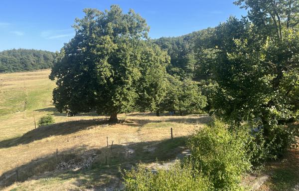 Maison en campagne Vernoux (07)