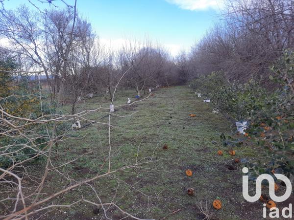 Terrain à vendre 16 110 m² Bezouce