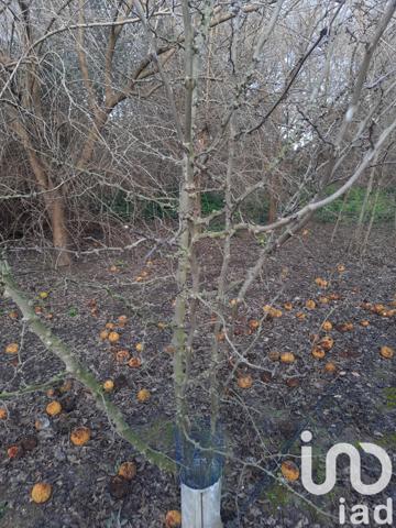 Terrain à vendre 16 110 m² Bezouce