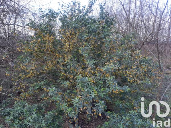 Terrain à vendre 16 110 m² Bezouce