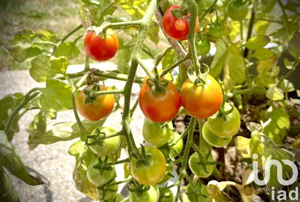 Maison à vendre 6 pièces 160 m² Fay-aux-Loges