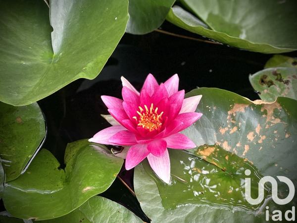 Maison à vendre 6 pièces 160 m² Fay-aux-Loges