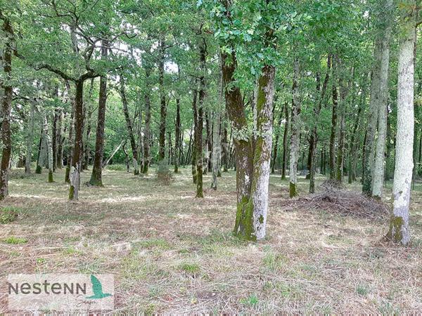 A vendre Saujon, maison d'architecte, 144m², 5 chambres, 5140 m² de terrain, garage