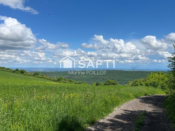 Grange sur vaste terrrain à 8 minutes de NOLAY