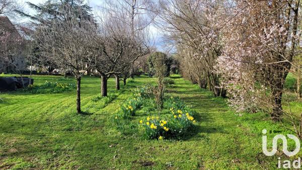 Longère 8 pièces de 310 m² à Saint-Pierre-les-Étieux (18210)