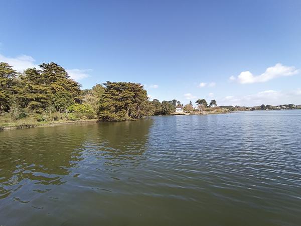 Maison de charme à Baden avec vue mer dégagée de 4 chambres et édifiée sur un terrain de plus d'1 hectare.