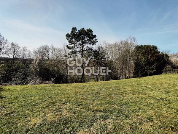 Terrain constructible de 2000 m² avec partie boisée