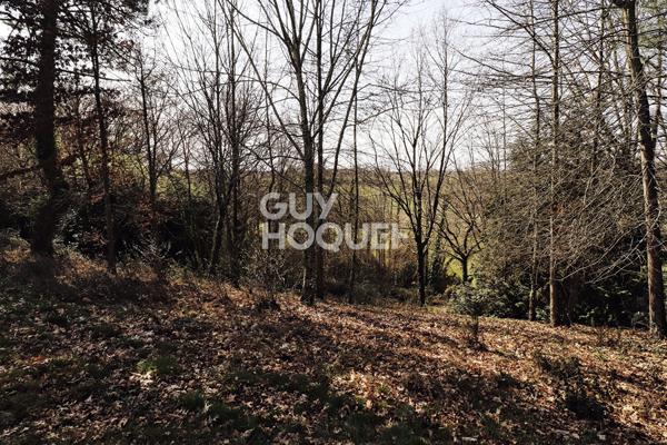 Terrain constructible de 2000 m² avec partie boisée
