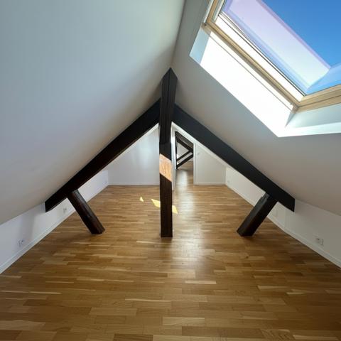 Duplex
                                                                                                                                                                                                                                                                                                                        6 pièce(s)                                                                                                                                                                                                          4 chambre(s)                                                                                                                                                                                                          250  m²