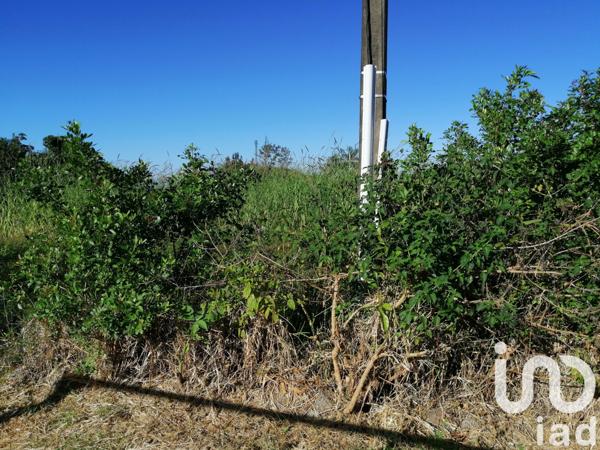 Terrain à vendre 399 m² Saint-Joseph